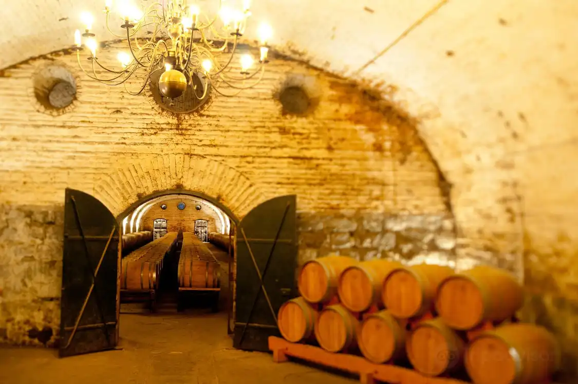 Hotels near Vina Cousino Macul