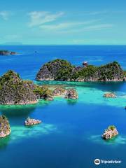 Piaynemo Raja Ampat