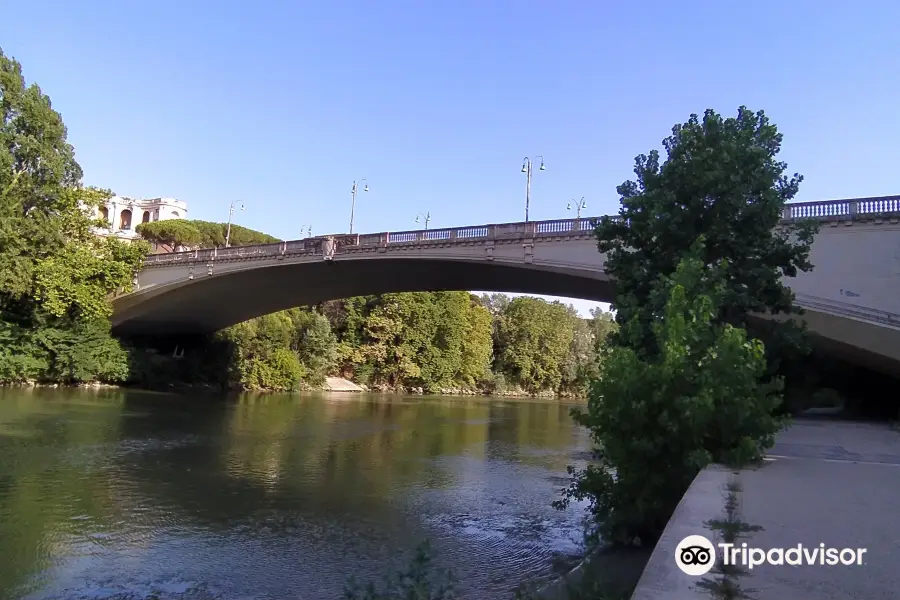 Ponte Risorgimento