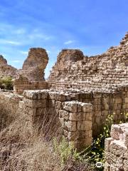 Ashdod Citadel