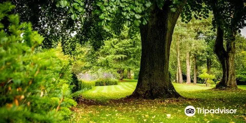 Dorothy Clive Garden