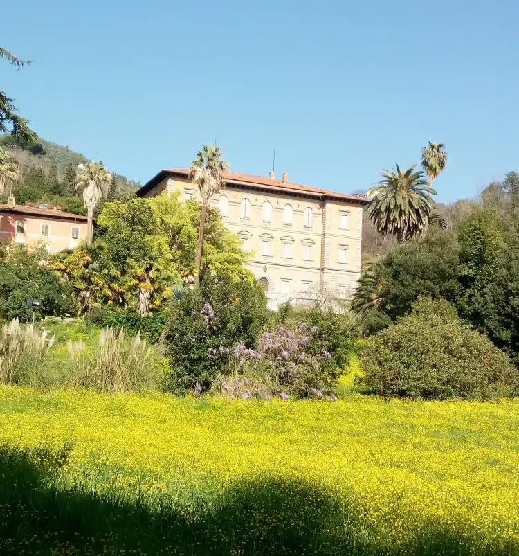 Hotels in Capezzano Pianore