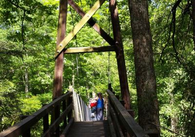 Blue Bend Recreation Area