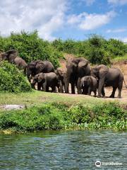 Friendly Gorillas Safaris