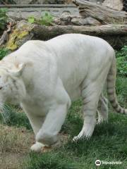 貝爾格勒動物園