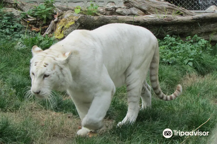 Belgrade Zoo