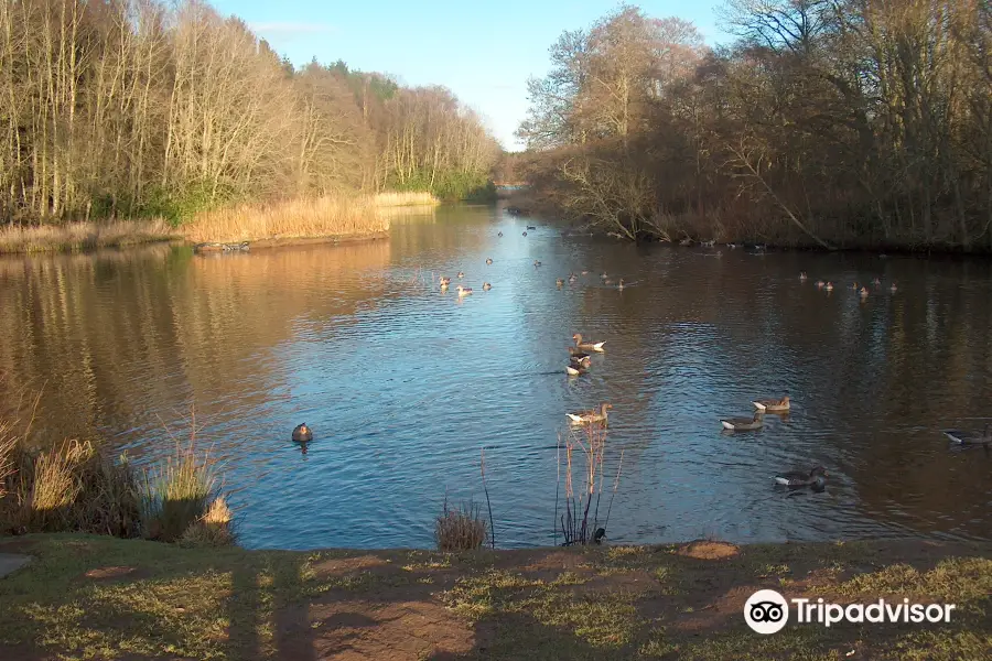 Haddo House & Country Park