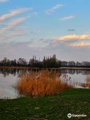 Hillfort on Slupca Lake