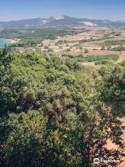 Parc archéologique de Baratti et Populonia