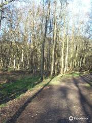 Southwood Woodland - Kennel Lane Entrance