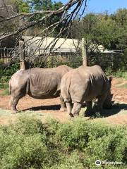 キャメロンパーク動物園