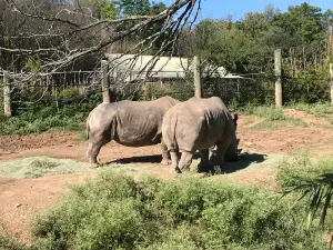 キャメロンパーク動物園