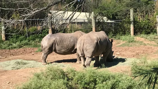 キャメロンパーク動物園