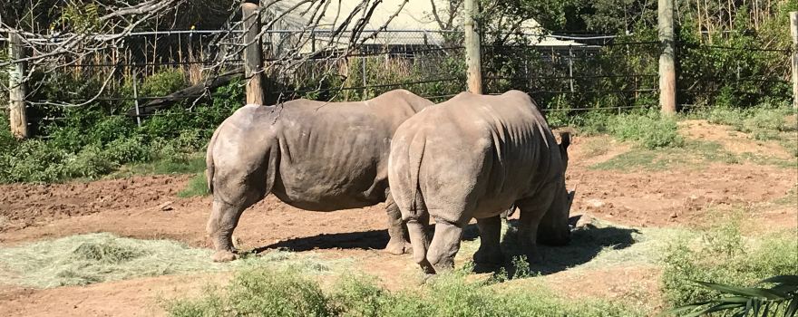 Cameron Park Zoo