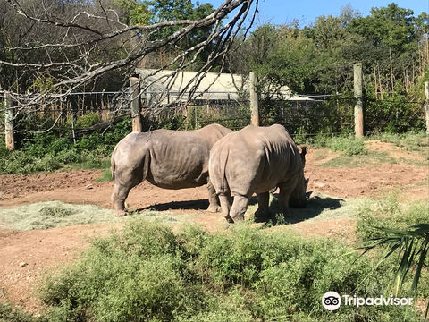 Cameron Park Zoo
