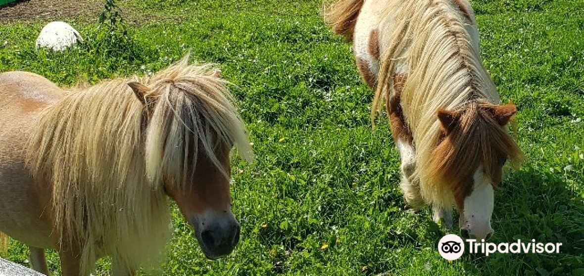 Weedon Travel Guide 2024 Things to Do, What To Eat & Tips