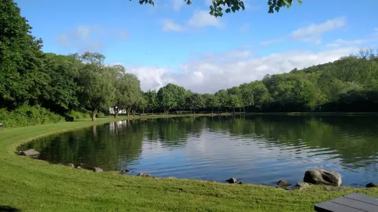 Big Brown Fish & Pay Lakes