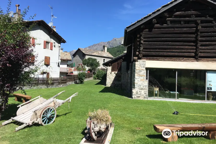 Maison de Cogne Gerard-Dayne