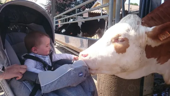 Kinderboerderij Barelhoeve