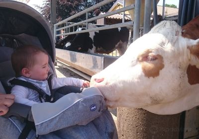 Kinderboerderij Barelhoeve