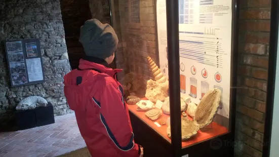 Museo dei Fossili e Minerali del Monte Nerone