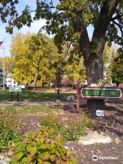 Lincoln-Douglas Debate Square