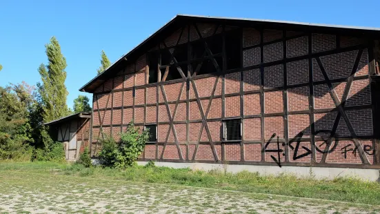 Bürgerpark Salineinsel