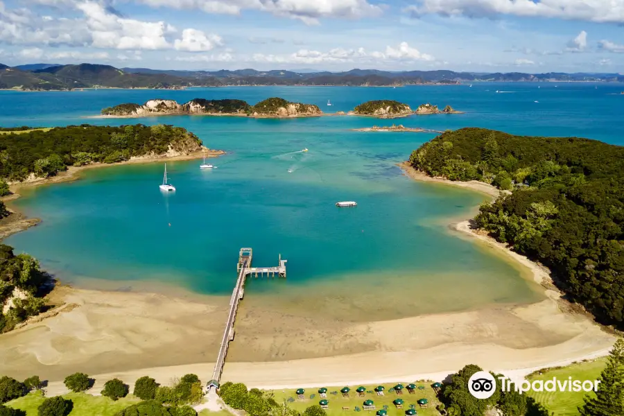 Bay of Islands Kayaking