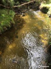 Junee Cave Track