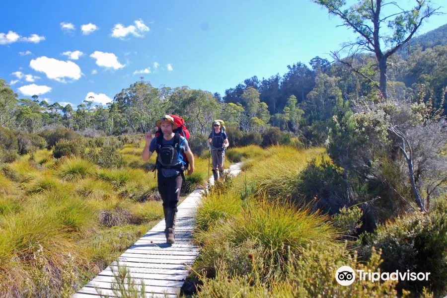 Tasmanian Expeditions