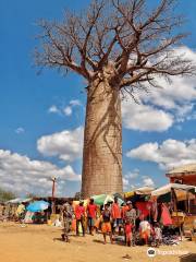 Madagascar Decouverte