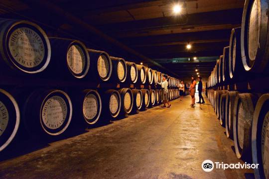 Yamazaki Distillery + Togetsukyo Bridge One Day Tour