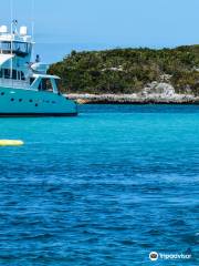 Discovery Charters Bahamas LLC