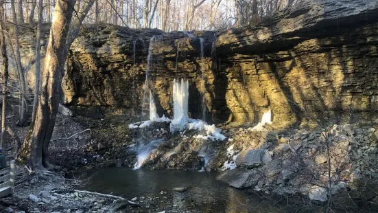 Charleston Falls Preserve