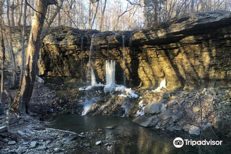 Charleston Falls Preserve