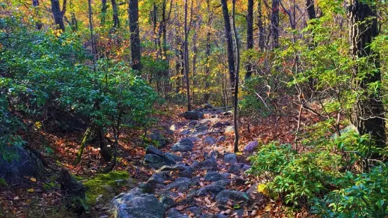 Pyramid Mountain Natural Historic Area