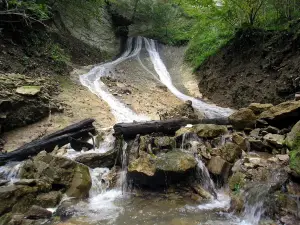 Kozjanski park / Kozjansko Regional Park