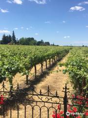 Berghold Vineyards