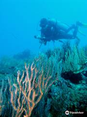 CASA DE BUCEO Y AVENTURA