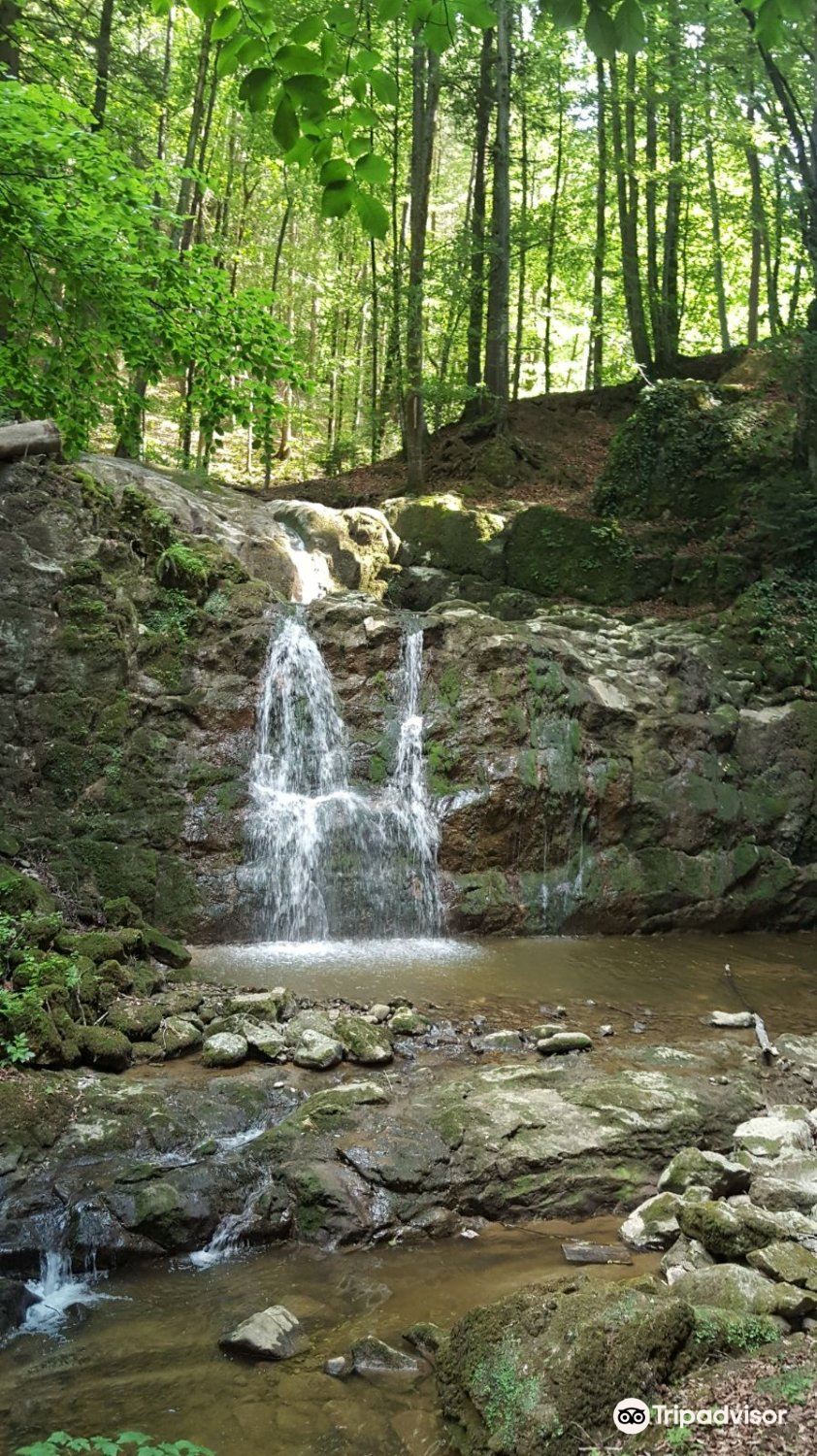 Wildkar Wasserfall 티켓 할인, 운영 시간, 후기 [2025년] | Trip.com