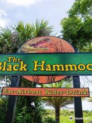 Black Hammock Adventures