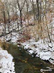 Line Creek Trail