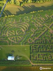 The Great Worcester Maize Maze