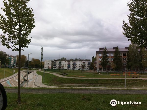 Park "Shamsinur"