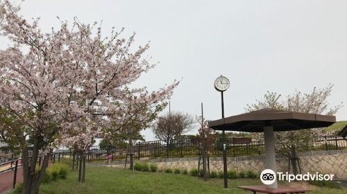 Shokojiyama Mound Park