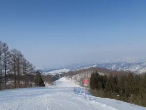 Tsunan津南滑雪場