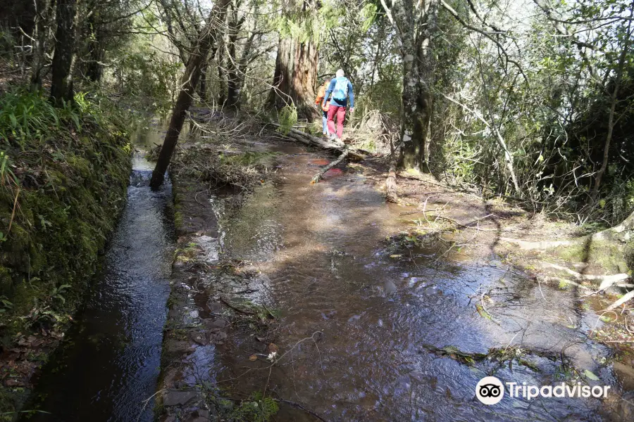 Queimadas Forest Park