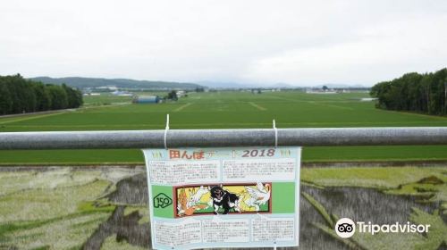 Tambo art (Art on rice fields -Asahikawa )