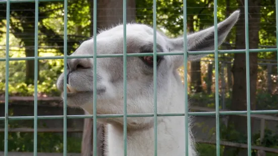 弘前市弥生いこいの広場 動物広場