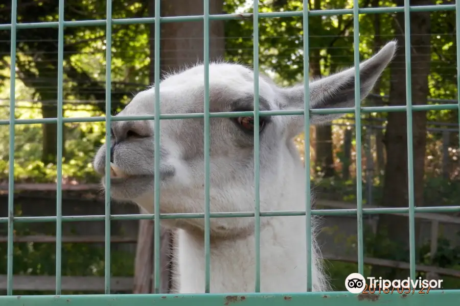 弘前市弥生いこいの広場 動物広場